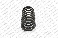 ПРУЖИНА КЛАПАНА CTP 1944902, вид 3