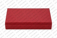 Направляющая CTP 1931685, вид 2